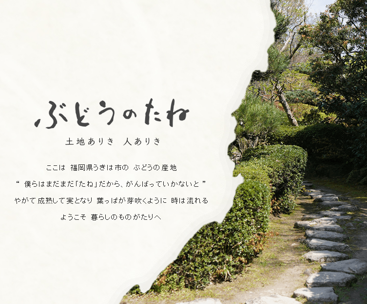 福岡 漆器 食器 土田和茂